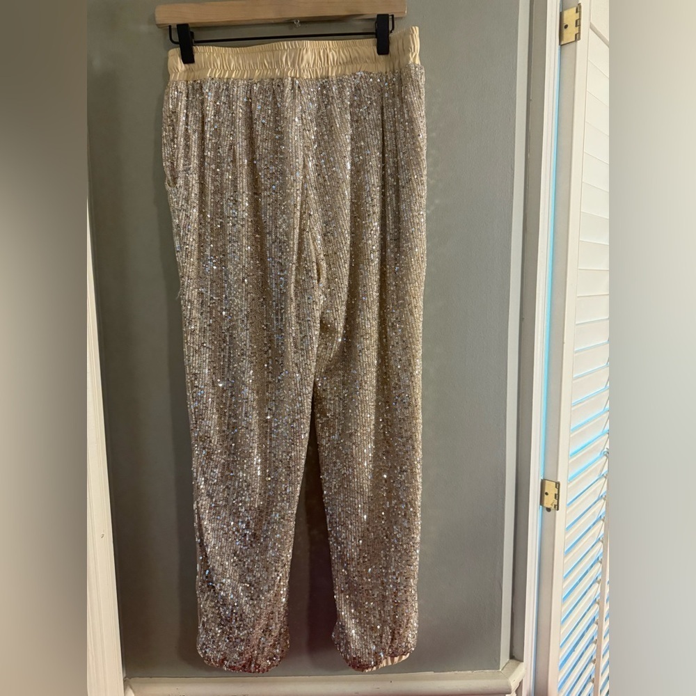 Style Rack Silver Sequin Joggers - Picture 2 of 11